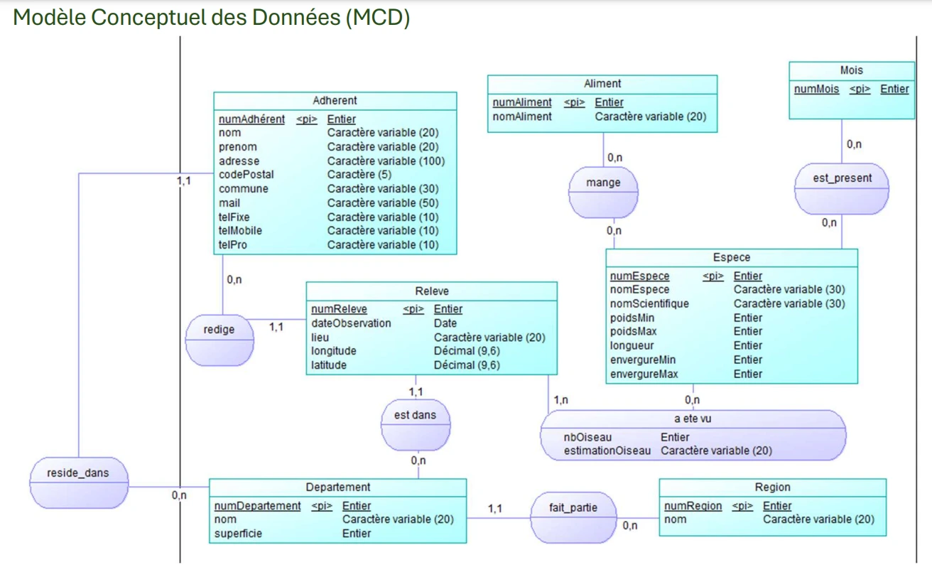Modèle Conceptuel de Données (MCD) du projet LPO