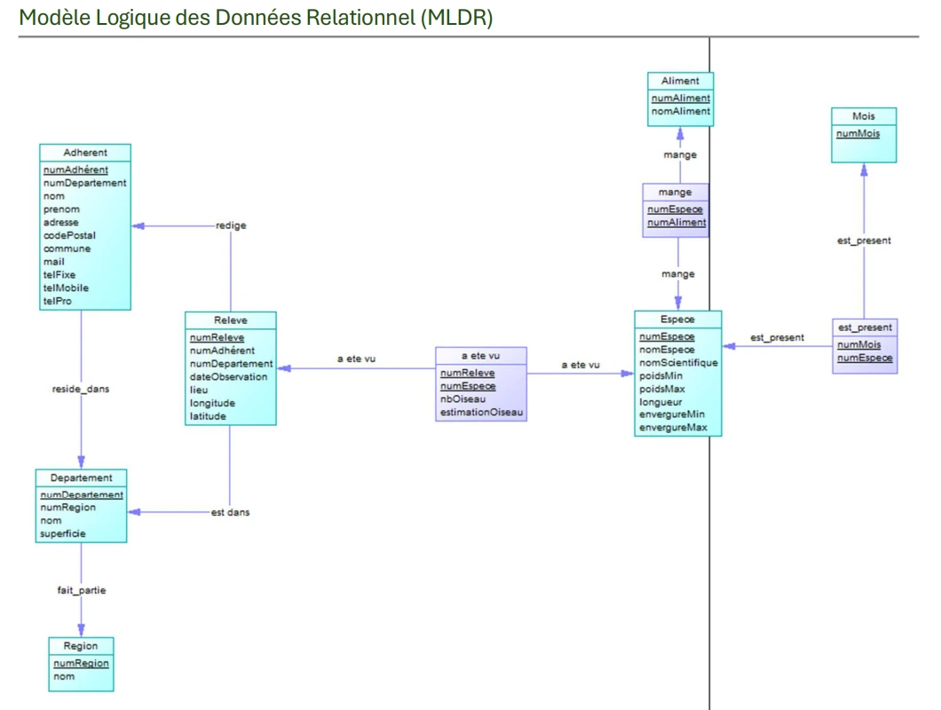 Modèle de Données Logique (MLD) du projet LPO