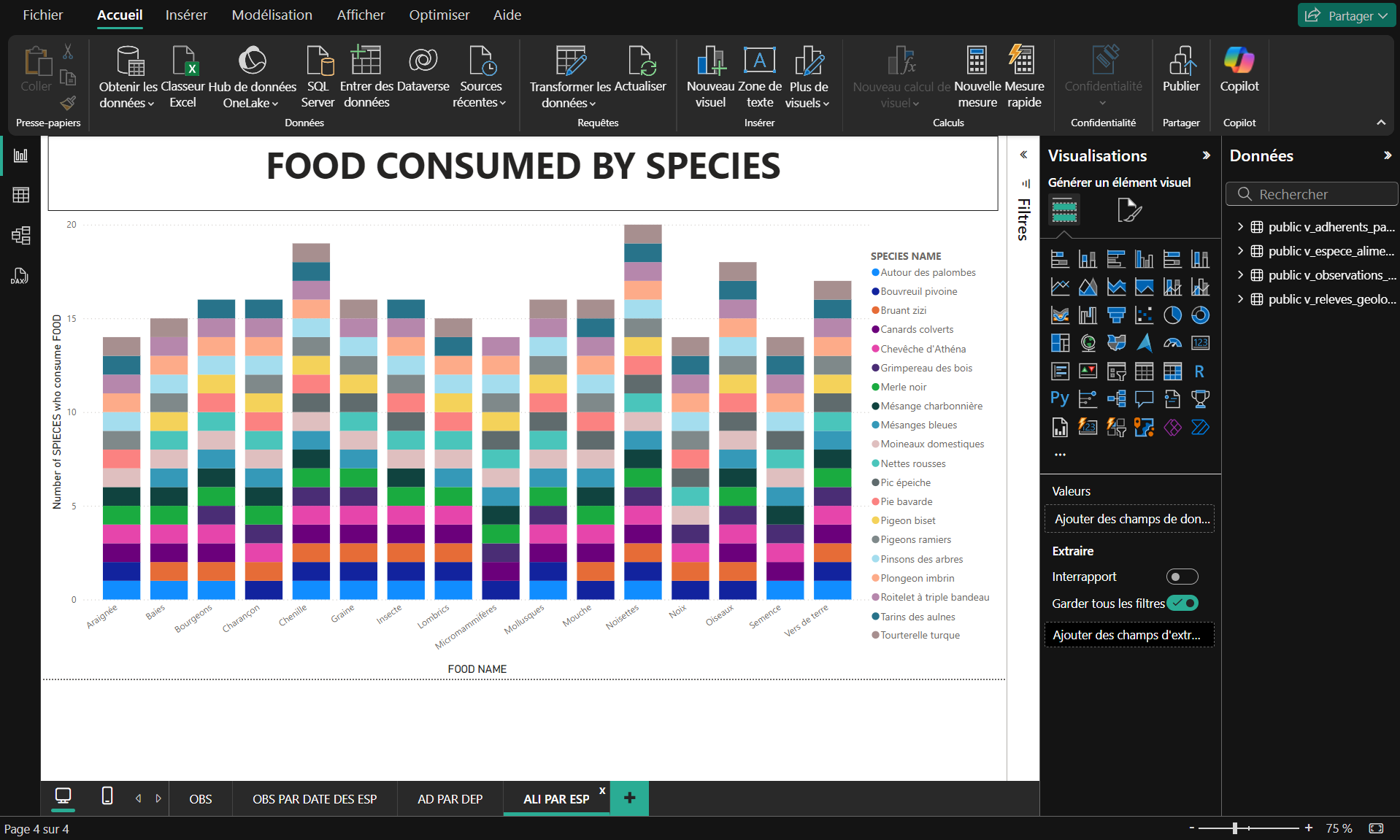 Tableau de bord Power BI - Vue détaillée
